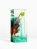 *The Habit of Nature (Study)*, 2025
Glass, Epoxy, Collage, Acrylic Paint
19.125 x 8.25 x 6.5 inches